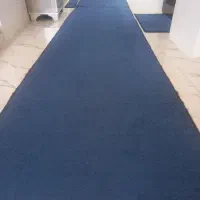 موکت نو