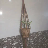 جای گل مکرومه