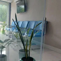 درخواست منشی جهت کار دفتری در املاکی