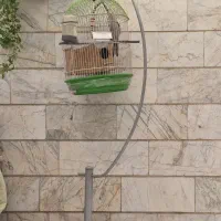 عروس هلندی