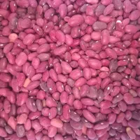 لوبیاعدس تخمه  کشمش بادوم زمینی