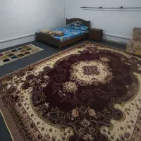 رهن و اجاره مرکز شهر|اجارهٔ آپارتمان|قشم, |دیوار