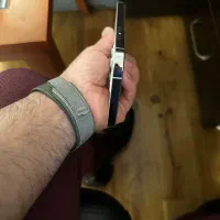 آیفون ۱۲ پرومکس ۲۵۶|موبایل|تهران, دریا|دیوار