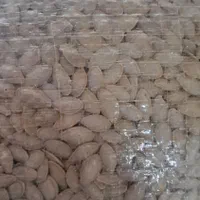 تخمه کدو گوشتی|خوردنی و آشامیدنی|اصفهان, ناژوان|دیوار