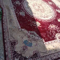 فروش انواع فرش دست دوم|فرش|کوه چنار, |دیوار