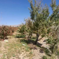 باغ ویلا|فروش خانه و ویلا|سربیشه, |دیوار