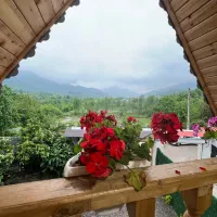 کلبه سوئیسی یک خواب جنگلی کد افرا