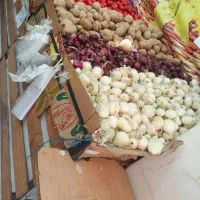 فروش بساط میوه فروشی|فروشگاه و مغازه|شیراز, فاضل|دیوار
