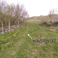 ۲۰۰متر زمین مسکونی دیلمان