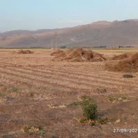 فروش جارو به صورت عمده و خورده