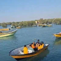 گشت فراموش نشدنی جزیره زیبای قشم|تور و چارتر|قشم, |دیوار