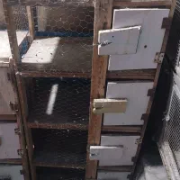 قفس جفت کن کبوتر چهار طبقه|لوازم جانبی حیوانات|اصفهان, شهید رجایی|دیوار