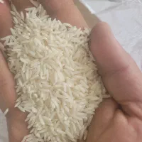 برنج هاشمی|خوردنی و آشامیدنی|رشت, جانبازان|دیوار