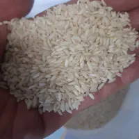 برنج عنبر عفرا|خوردنی و آشامیدنی|اهواز, شهرک دانشگاه|دیوار