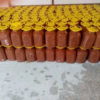 استخدام نیروی آقا