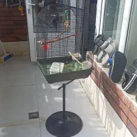 قفس پایه دار|لوازم جانبی حیوانات|پردیس, فاز ۴|دیوار