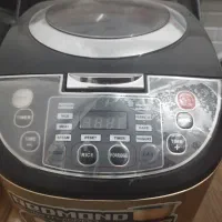 سرخ کن و پلو پز ارام پز چند کاره