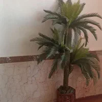 درختچه نخل مصنوعی