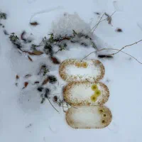 ظروف رزینی|ظروف سرو و پذیرایی|تهران, کوثر|دیوار