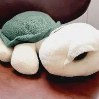 تعدادی عروسک و کیف عروسکی