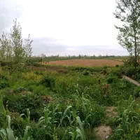 200متر-زمین-مسکونی-سند-در-دست-اقدام