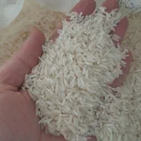 برنج عنبر بو