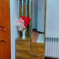 جا کفشی در حد نو جادار