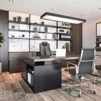 منشی دستیار پاره وقت و نیمه دور کاری خانم، شخصی