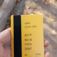 کارت پیدا شده