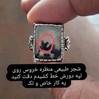 شجر خاص
