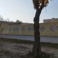۲۱۴۰ مترمربع زمین بر خیابان اصلی مرودشت|فروش زمین و ملک کلنگی|مرودشت, پشت سایپا‎|دیوار