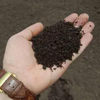 باغبانی درختکاری سمپاشی هرس کاری شرکت نوین|خدمات باغبانی و درختکاری|تهران, میرداماد|دیوار