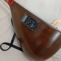 ساز قوپوز برقی|سازهای سنتی|مشگین شهر, |دیوار