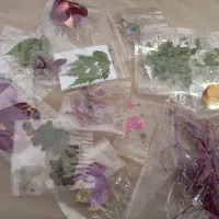 وسایل زرین|صنایع دستی و سایر لوازم تزئینی|خمینی‌شهر, |دیوار