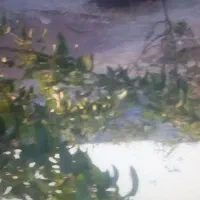باغ