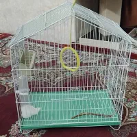 قفس مرغ عشق