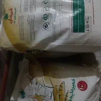 مایه خمیر