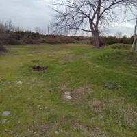 زمین با مجوز مرغداری