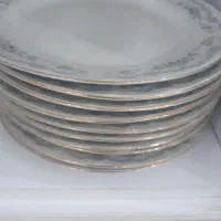 بشقاب پلو  خوری|ظروف سرو و پذیرایی|بندر انزلی, پیل علی باغ|دیوار