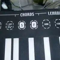 پیانو ژلاتینی تا شو|پیانو، کیبورد، آکاردئون|شیراز, محمدیه|دیوار