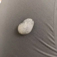 سنگ فوق خاص، شهاب سنگ ، عقیق اصل|کلکسیون اشیاء عتیقه|گرگان, |دیوار