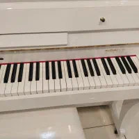 پیانو سوزوکی اقساطی|پیانو، کیبورد، آکاردئون|آمل, |دیوار
