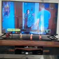 تلویزیون ۵۵ سام|تلویزیون و پروژکتور|بیرجند, |دیوار