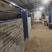 نگهداری اسب