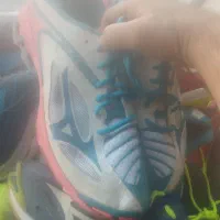 فقط یکجا|کیف، کفش، کمربند|مرودشت, ثبت احوال|دیوار