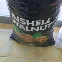 گردو آمریکایی