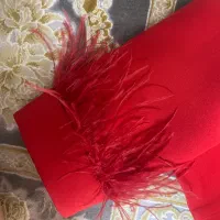 کراپ کت مجلسی|لباس|قم, سراجه (۱۵ خرداد)|دیوار