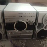 ضبط به همراه باند