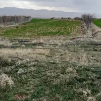 ۱۵۰۰مترزمین   ۳۰دقیقه اب|فروش زمین و ملک کلنگی|قره پشتلو, |دیوار