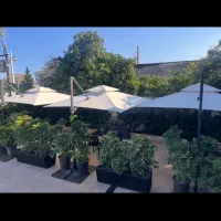 سایبان چتری تکنوویلا